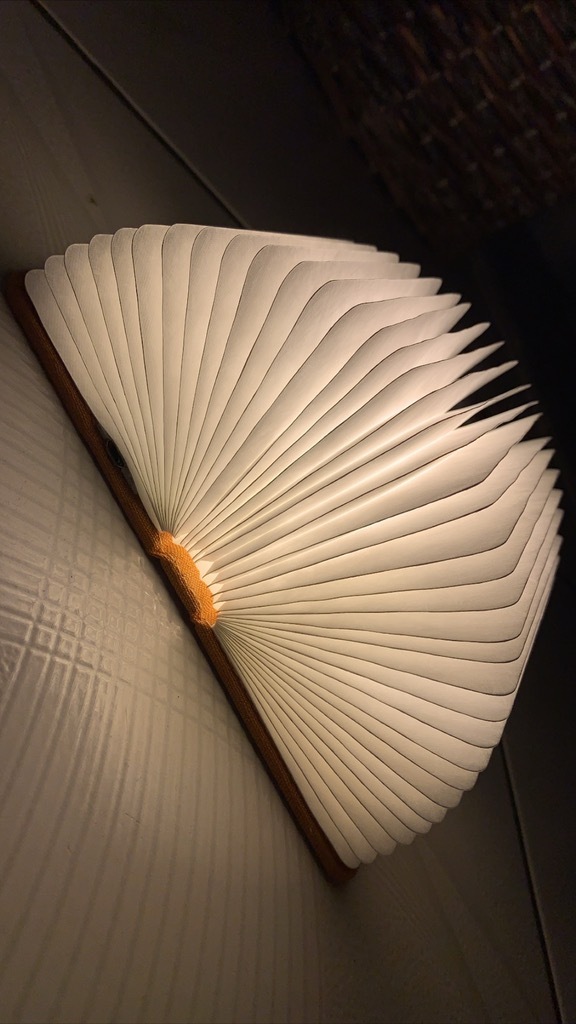 ginkgo smart book light Ornontowice Kup teraz na Allegro Lokalnie