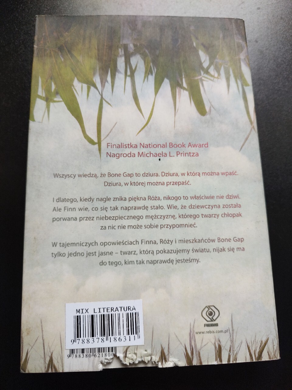 bone gap Laura Ruby Knurów Licytacja na Allegro Lokalnie