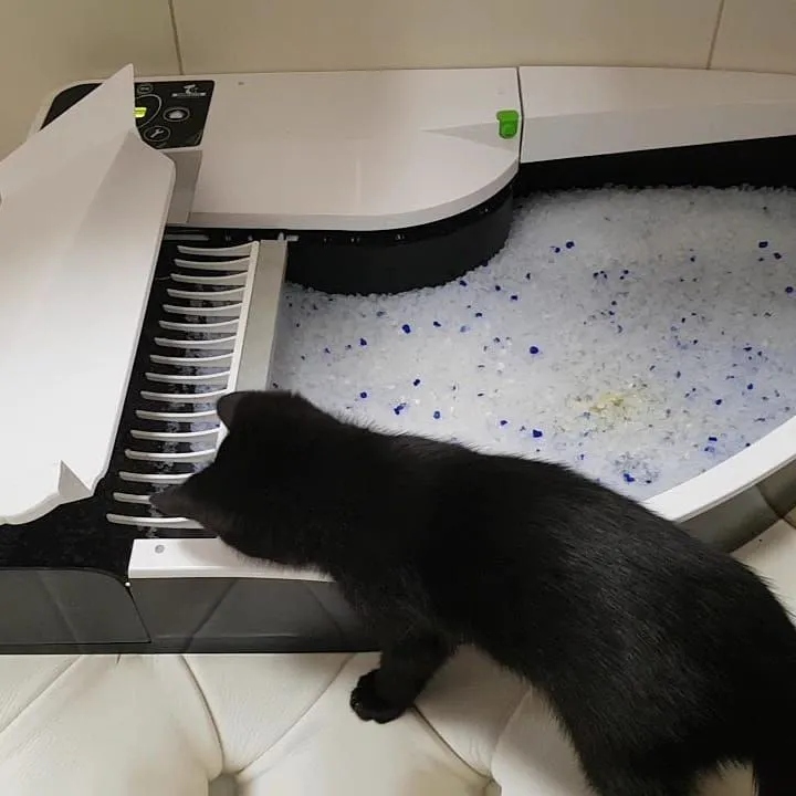 Inteligentna automatyczna samoczyszcząca Kuweta dla Kota Smart Kitty — 23