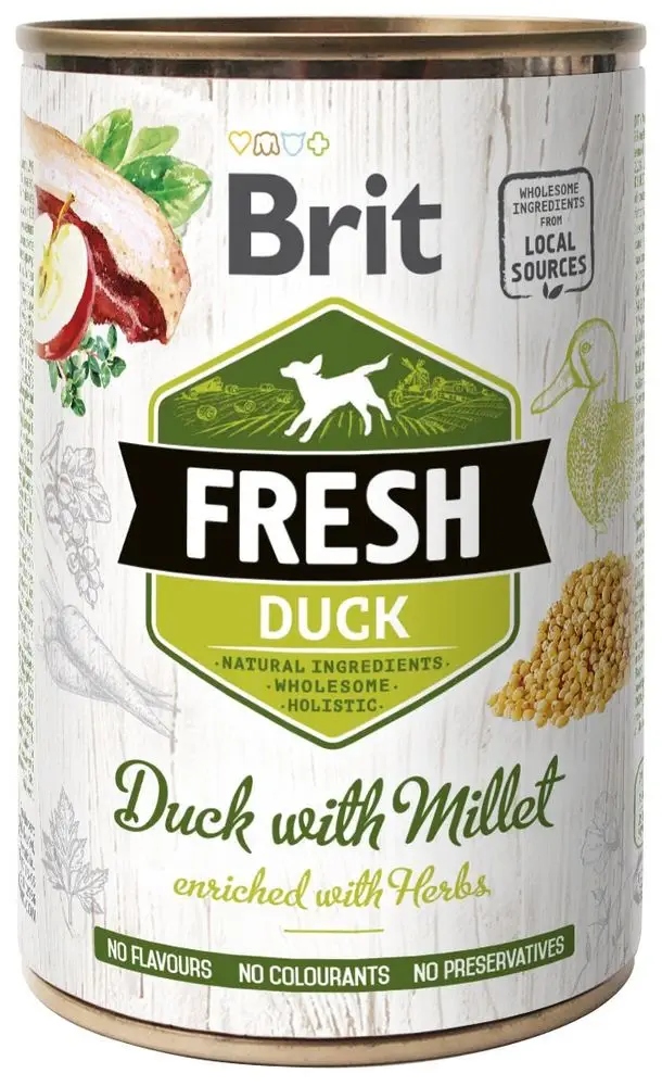 Levně Brit Fresh Duck with Millet 400g