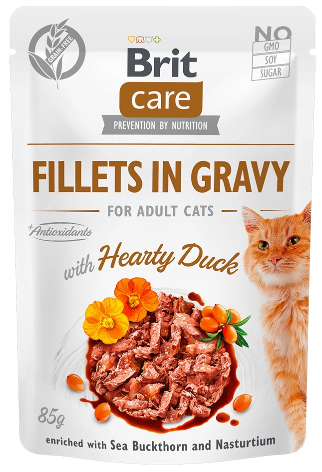 Care Cat Fillets in Gravy with Hearty Duck 24x85