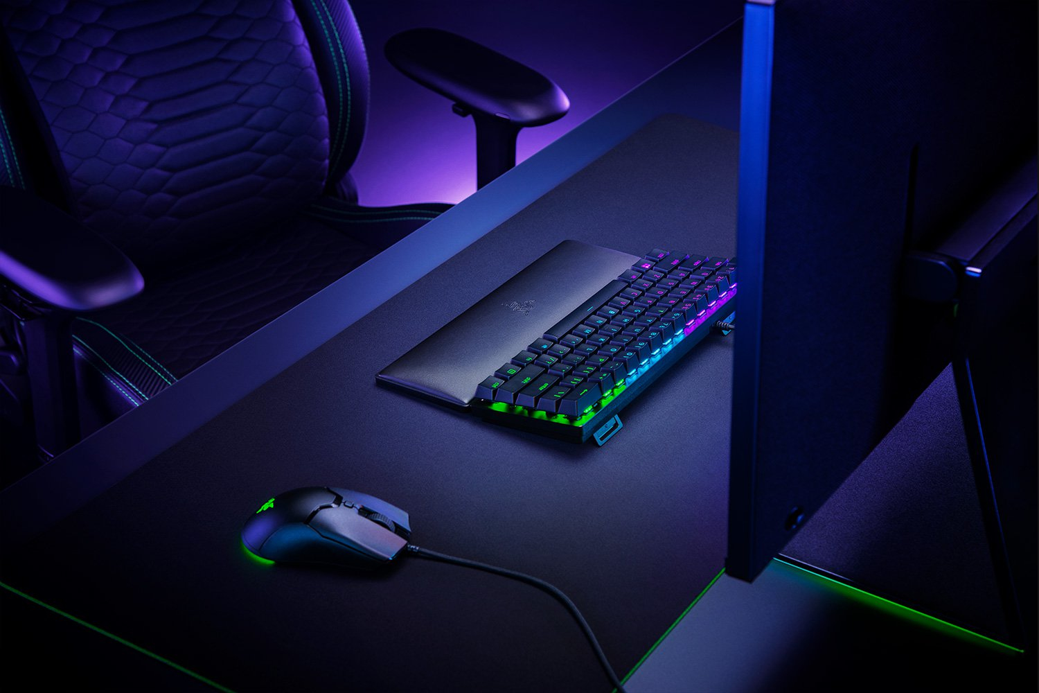 Razer Ergonomiczna Podk?adka pod Nadgarstek do Klawiatur Mini — 9