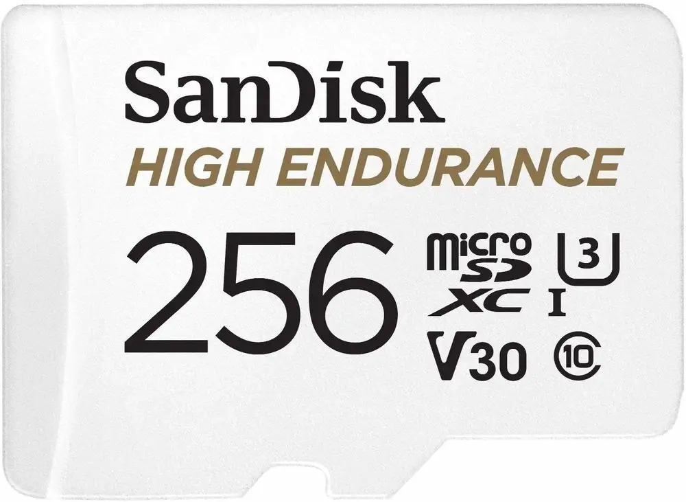 Karta pamięci microSD (sdxc) SanDisk 256 Gb-Zdjęcie-0