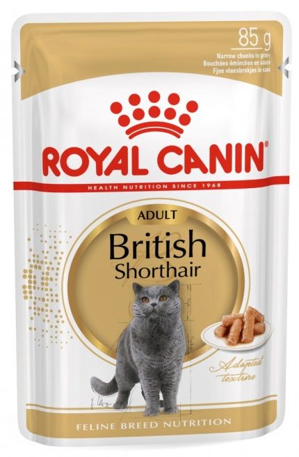Levně Royal Canin British Shorthair Adult 12x85 g