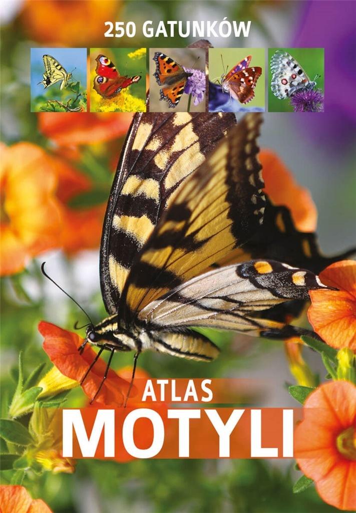

Atlas Motyli Kamila Twardowska, Jacek Twardowski