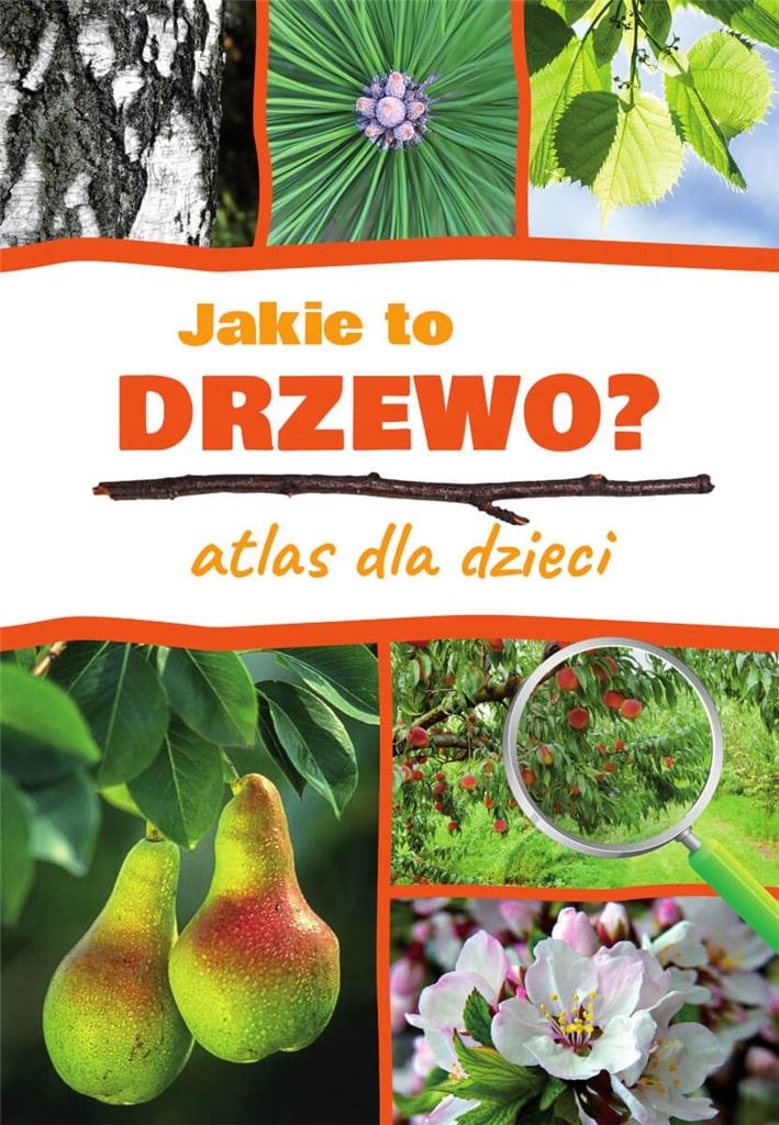 

Jakie To Drzewo Atlas Dla Dzieci Tw Sbm Nagrody
