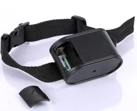 Nematoma elektroninė tvora šunims Bentech 023