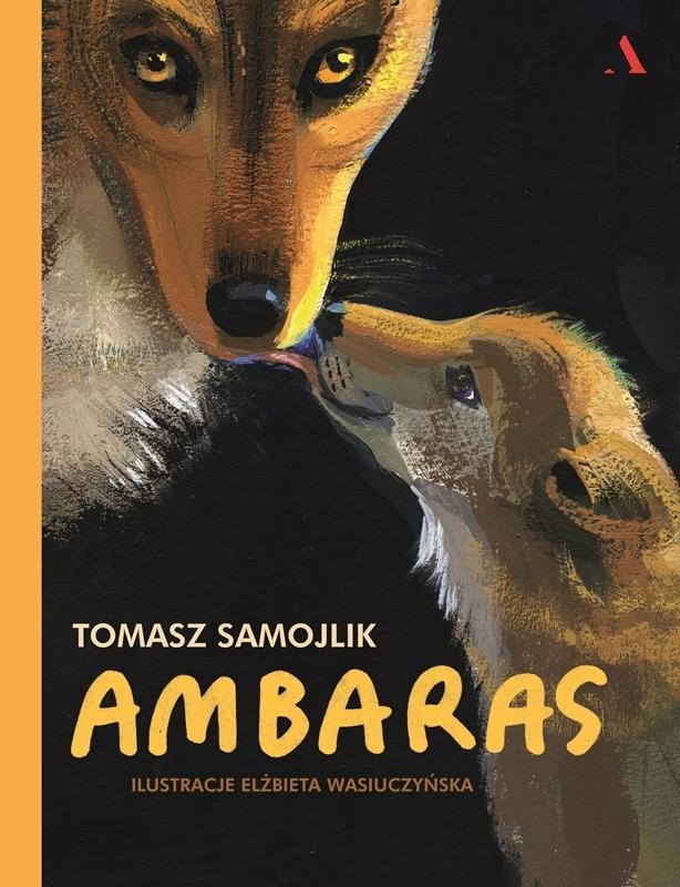 Ambaras Tomasz Samojlik-Zdjęcie-0