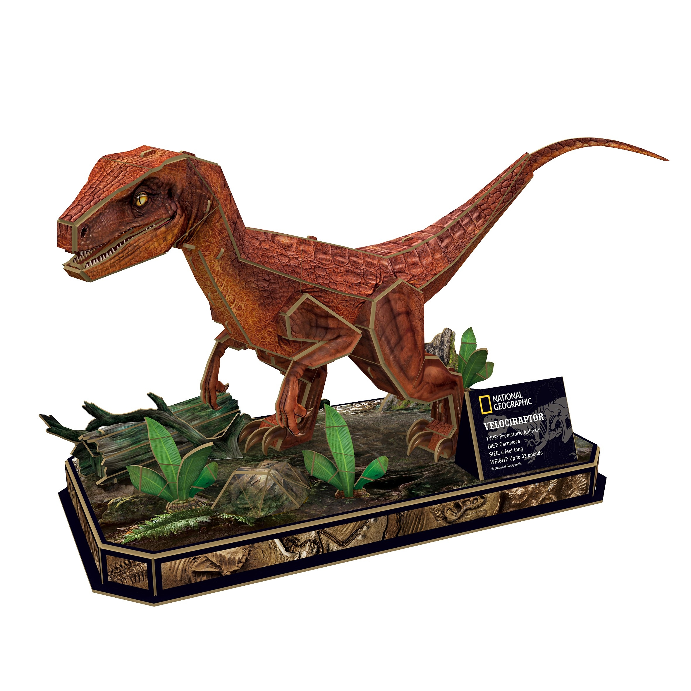 PUZZLE 3D NATIONAL GEOGRAPHIC WELOCIRAPTOR 0534