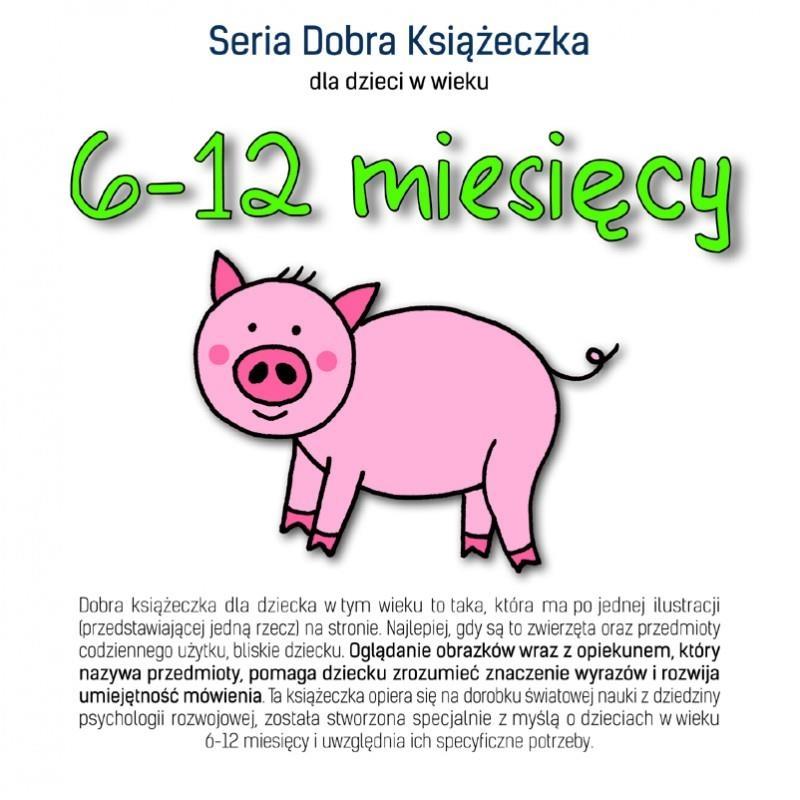 

Dobra Książeczka 6-12 miesięcy Agnieszka Starok