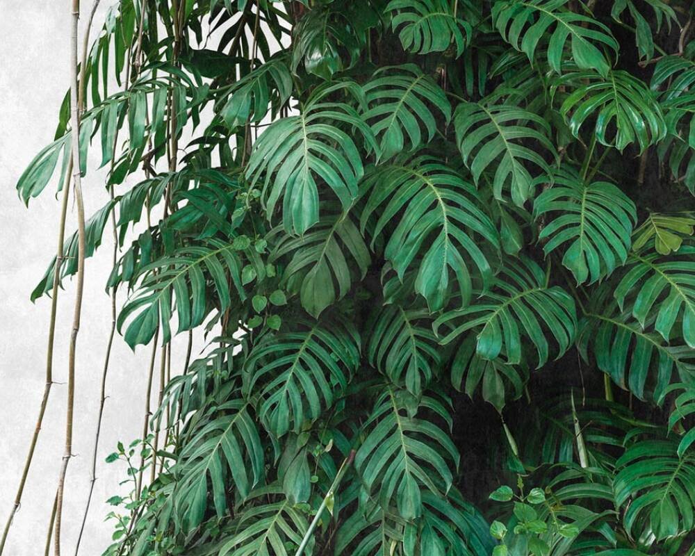 Tapeta Panel Fototapeta Monstera Listy Flizeliny