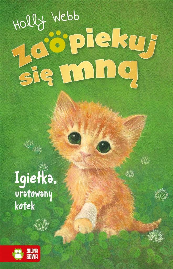 

Zaopiekuj się mną. Igiełka, uratowany kotek