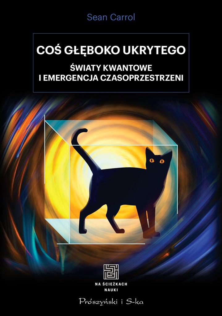 

Coś głęboko ukrytego Sean Carroll
