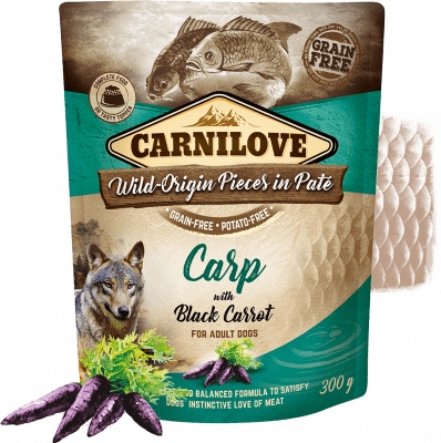 Levně Carnilove Carp with Black Carrot 12x300 g