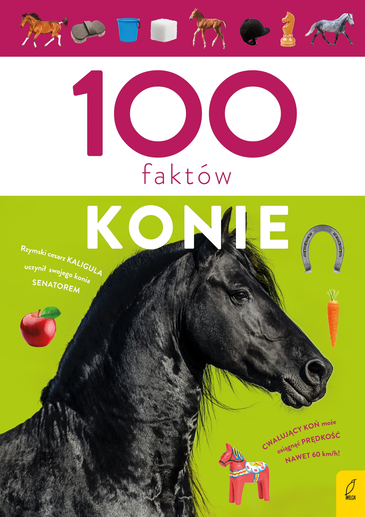 

100 Faktów Konie ciekawostki wiedza zainteresowani
