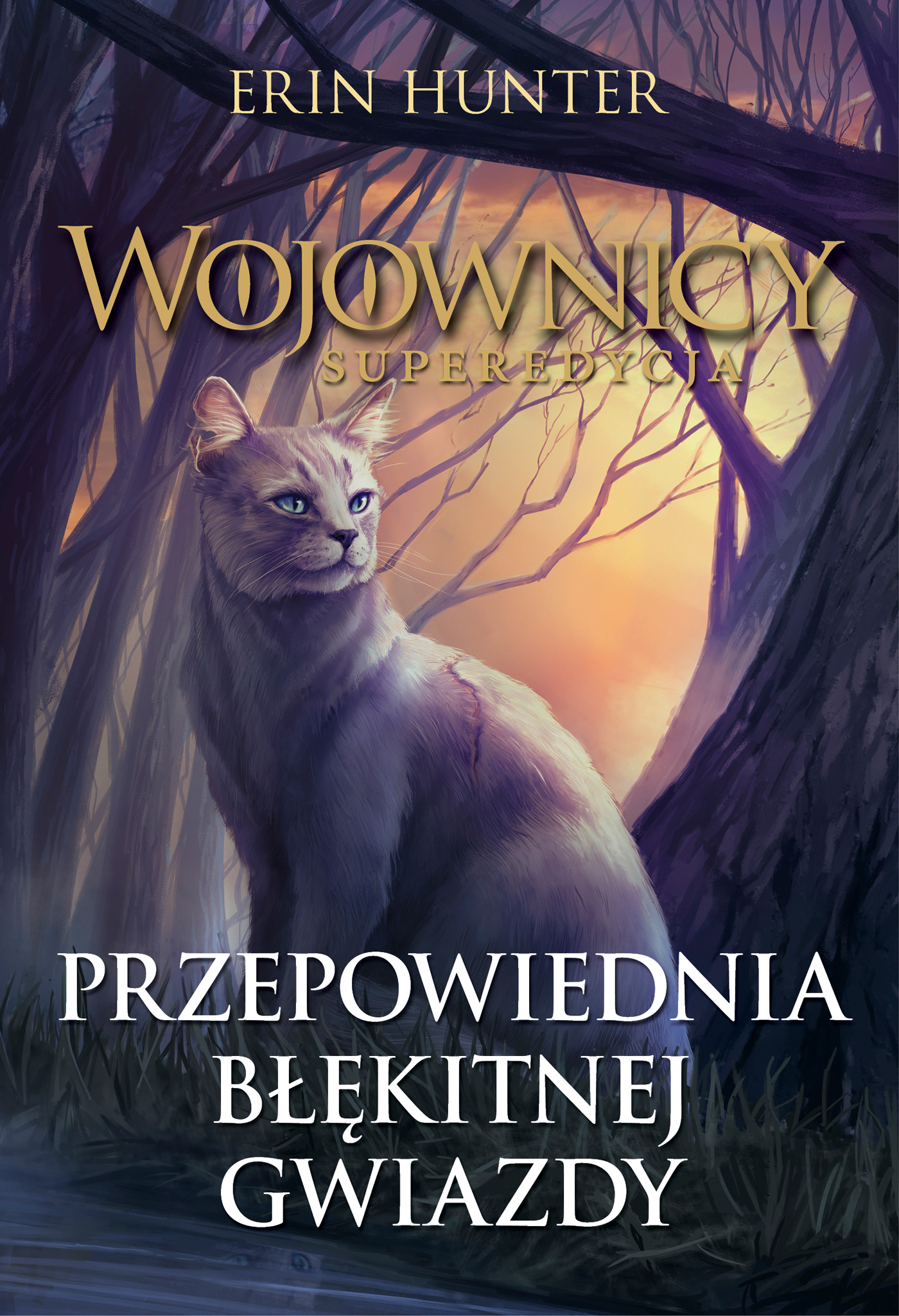 Wojownicy superedycja Tom 2 Przepowiednia Błękitne