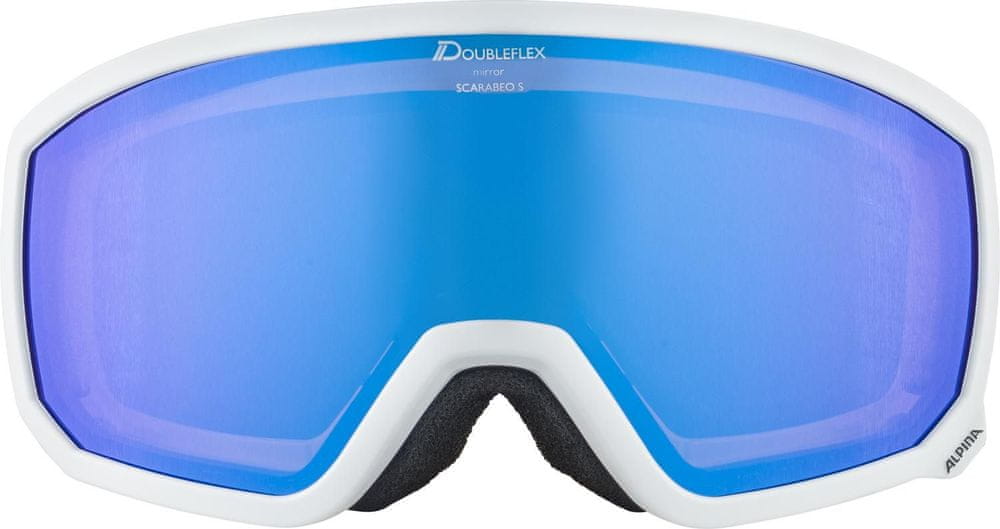 Gogle narciarskie Alpina Scarabeo S Q-Lite