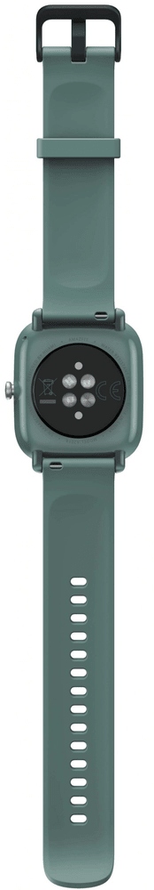 Smartwatch Amazfit GTS 2 Mini zielony Rodzaj smartwatch