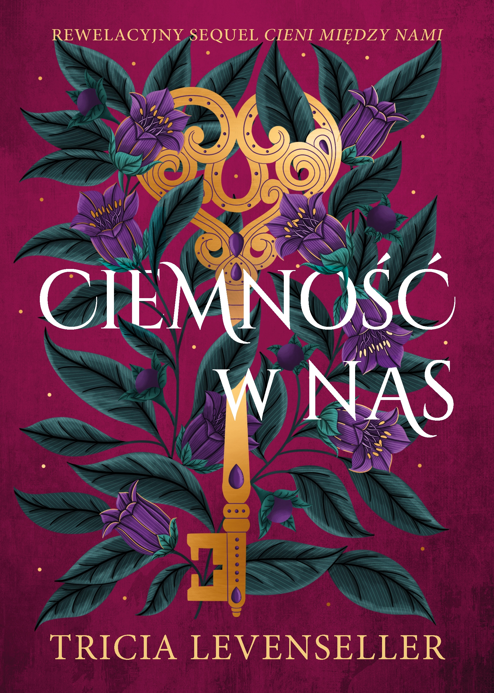 Ciemność w nas. Cienie między nami. Tom 2 Tricia Levenseller