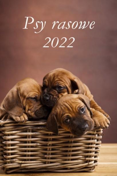 Kalendarz 2022 Psy rasowe ścienny 13-k