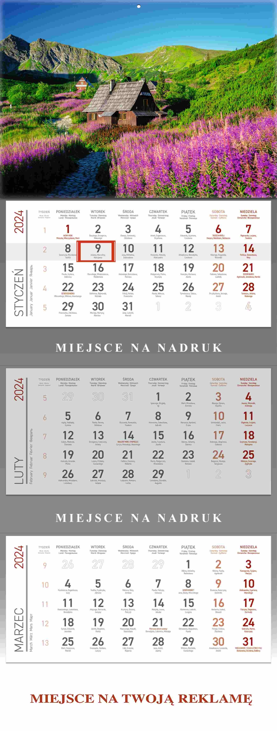 KALENDARZ 2024 TRÓJDZIELNY HALA GĄSIENICOWA 1 SZT Marka inny