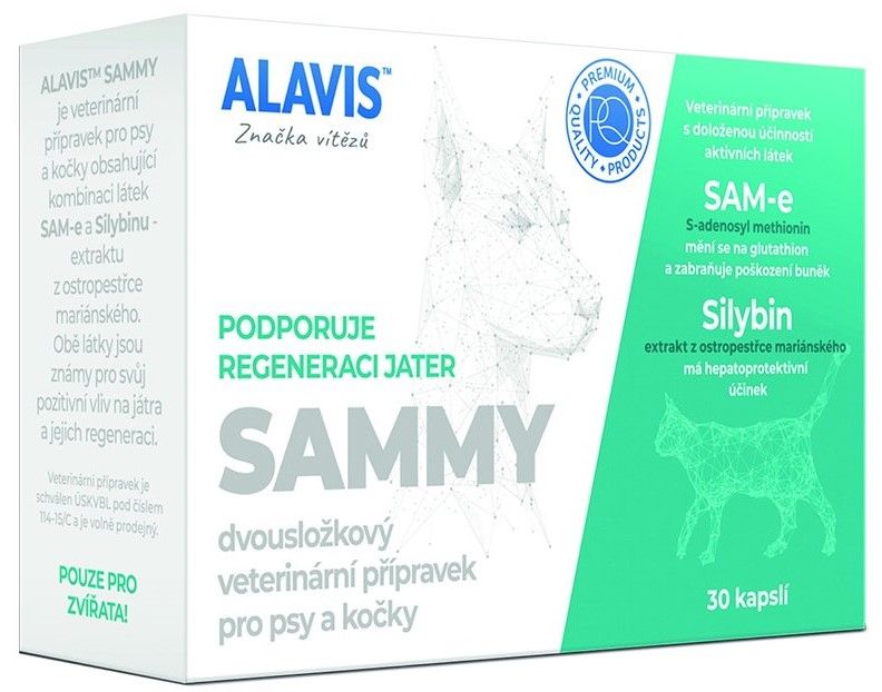Vitamíny pro psy Alavis želatinové kapsle 1 ks