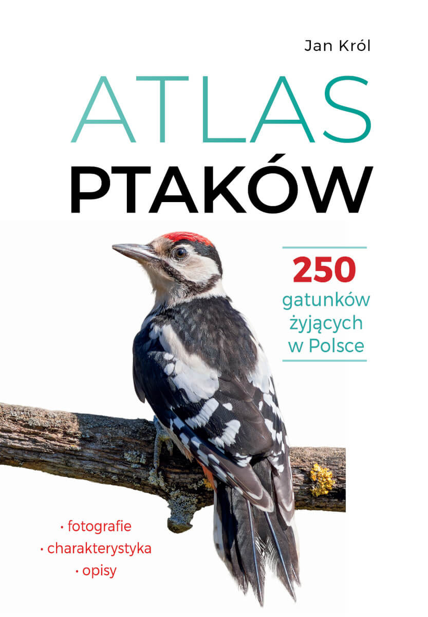ATLAS PTAKÓW - 250 gatunków żyjących w Polsce - Jan Król