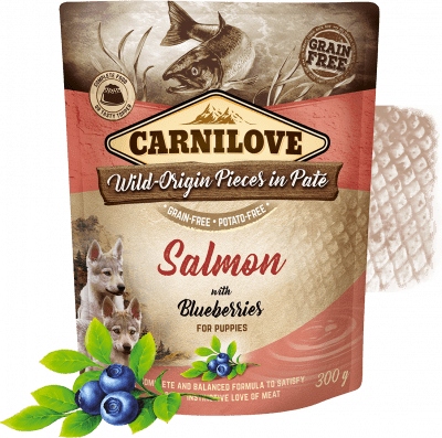 Levně Carnilove Salmon with Blueberries for Puppies 12x300 g