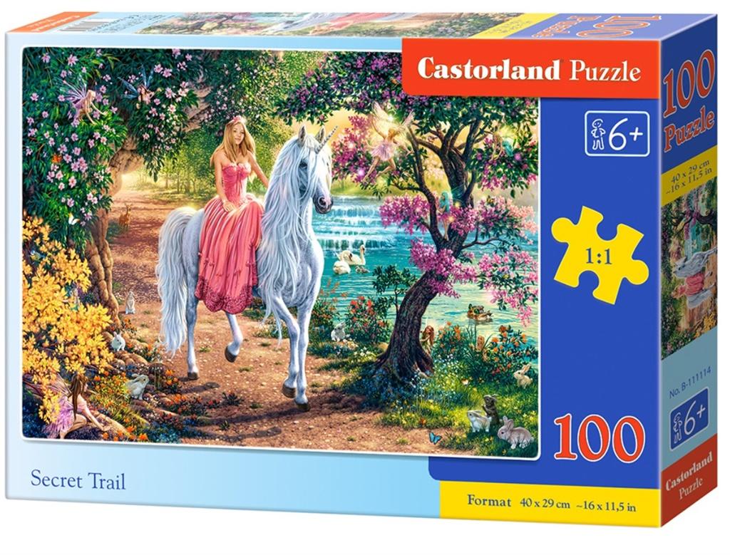 

Puzzle Secret Trail 100