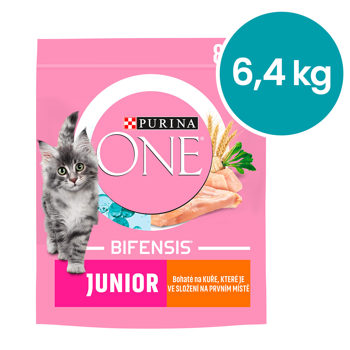 Levně Purina One Junior kuře 800 g