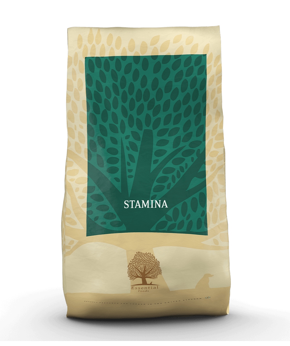 Essential - Stamina - krmivo pre psov so sklonom k chudnutiu 10kg