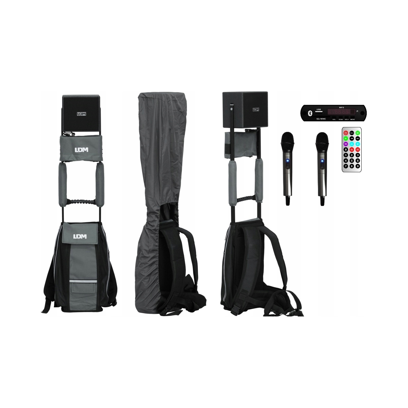 LDM Nagłośnienie pielgrzymkowe MobileSys/D216 z dwoma mikrofonami