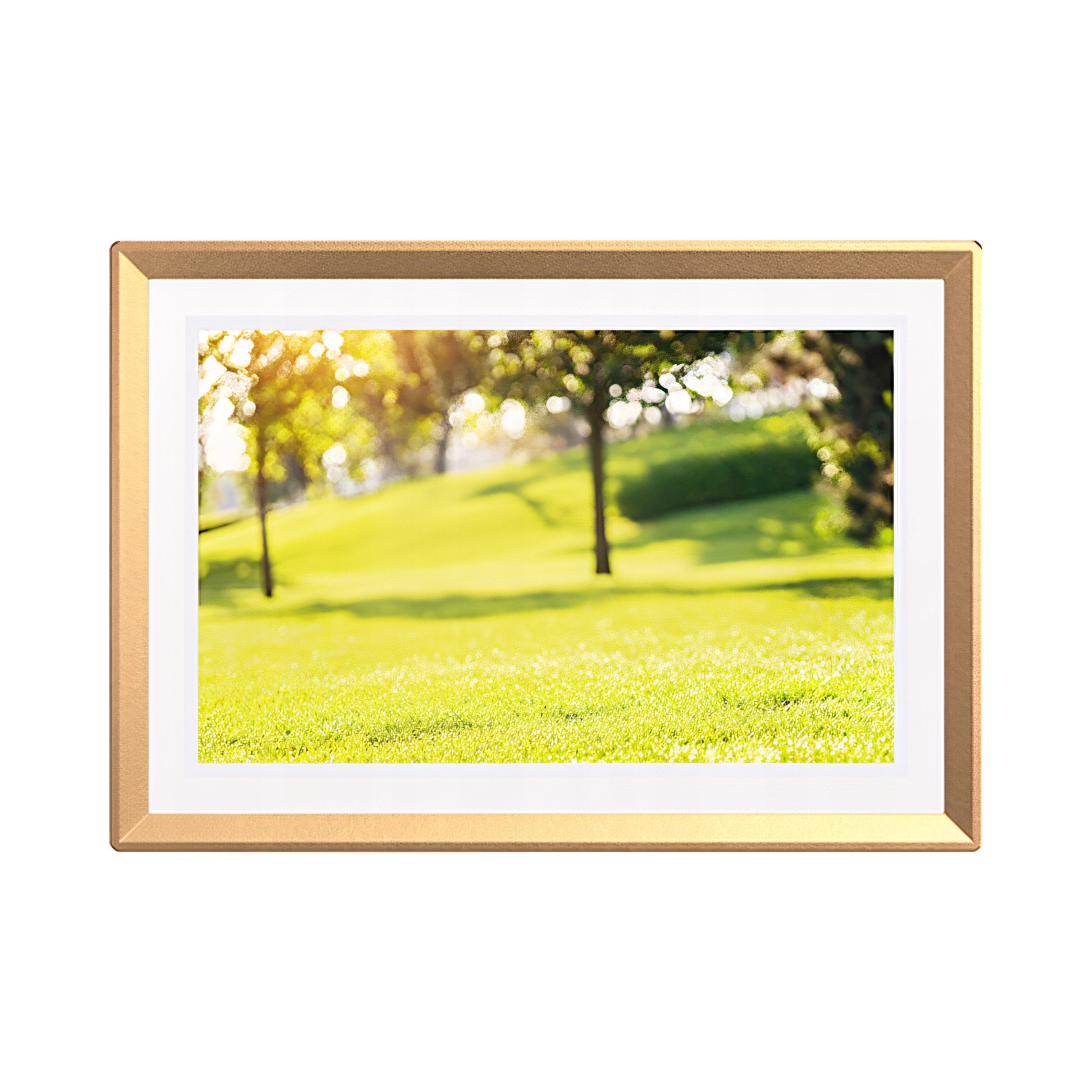 Ramka cyfrowa Arzopa D10 10,1" (złota) Arzopa
