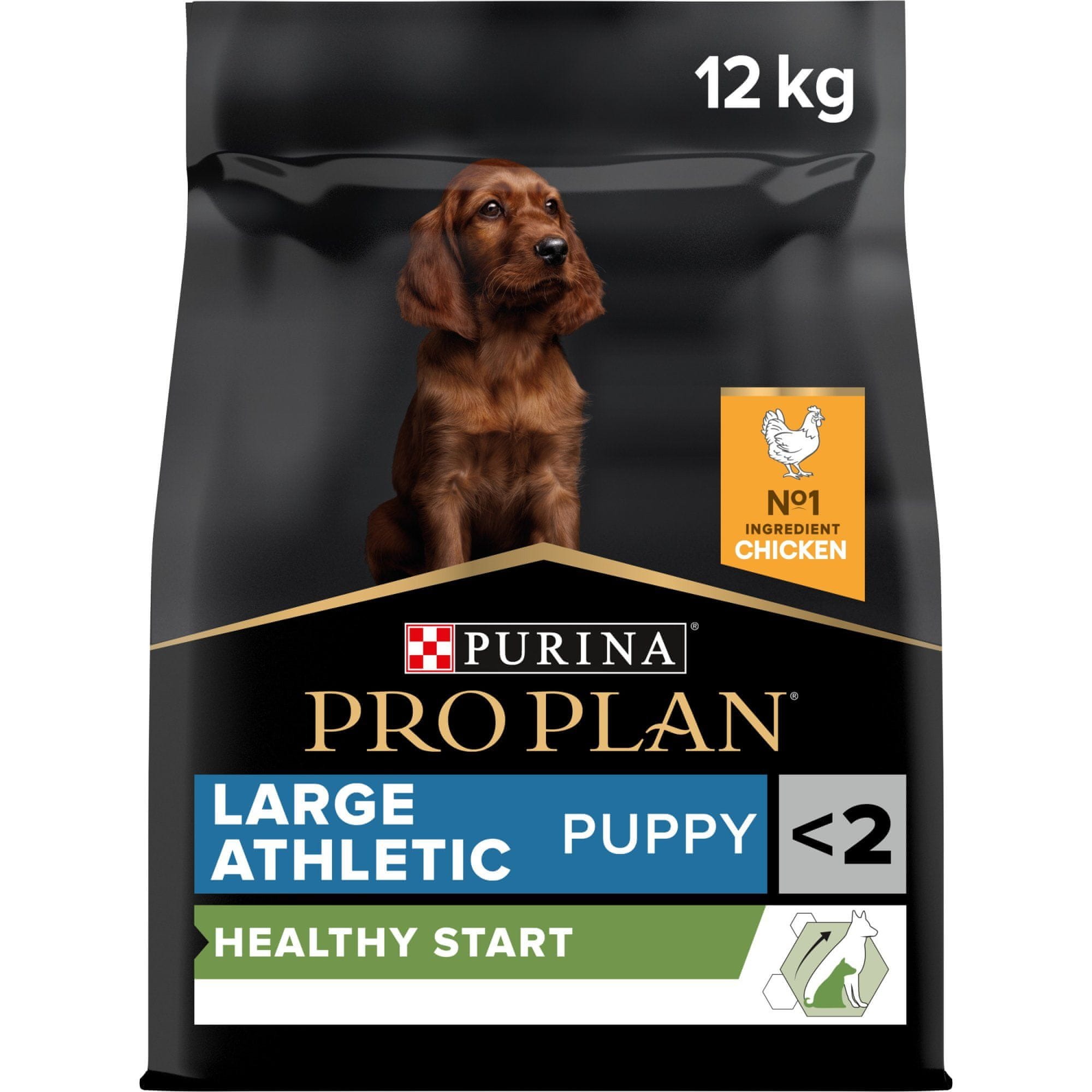 Levně Large Puppy Athletic Healthy Start kuře 12 kg