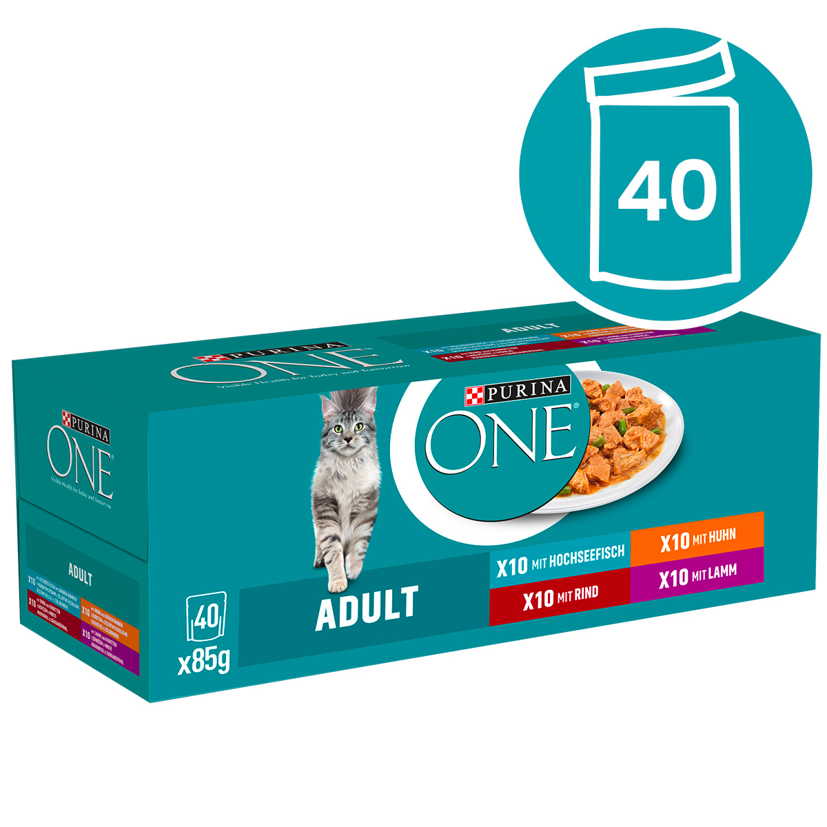 Levně Purina One Adult mini filetky ve štávě 40x 85 g