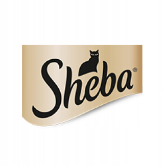 3d40c2/c8ec56354973bfc255ee96d47d6f