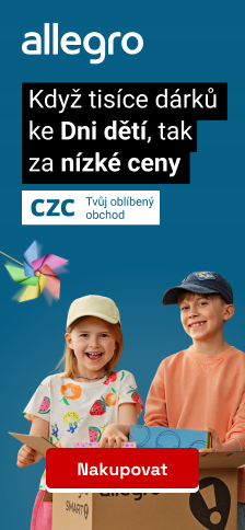Obrázek