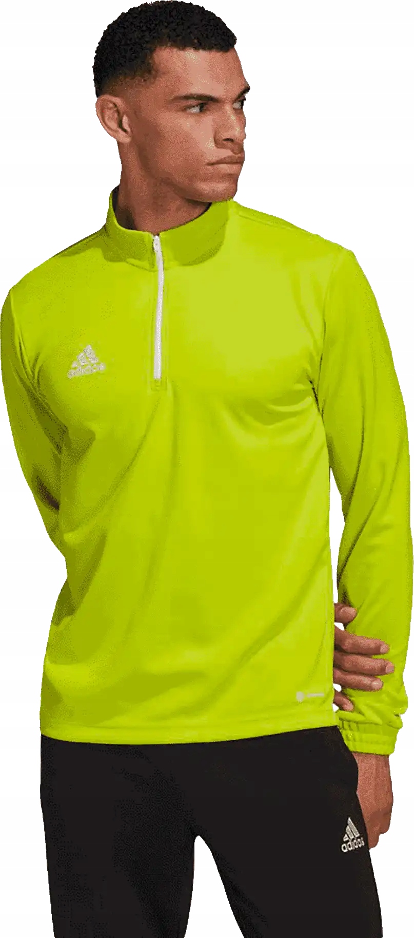Pánská tréninková mikina Adidas Entrada 22 Training limetka