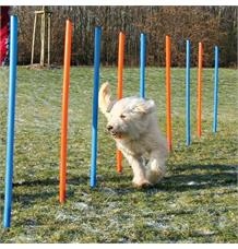 Agility Slalom, tyče 12ks Varianta: 12ks