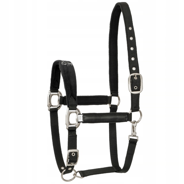 Uzda Eq.queen Athens 24SS Cob