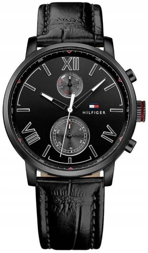 Pánské hodinky Tommy Hilfiger 1791310