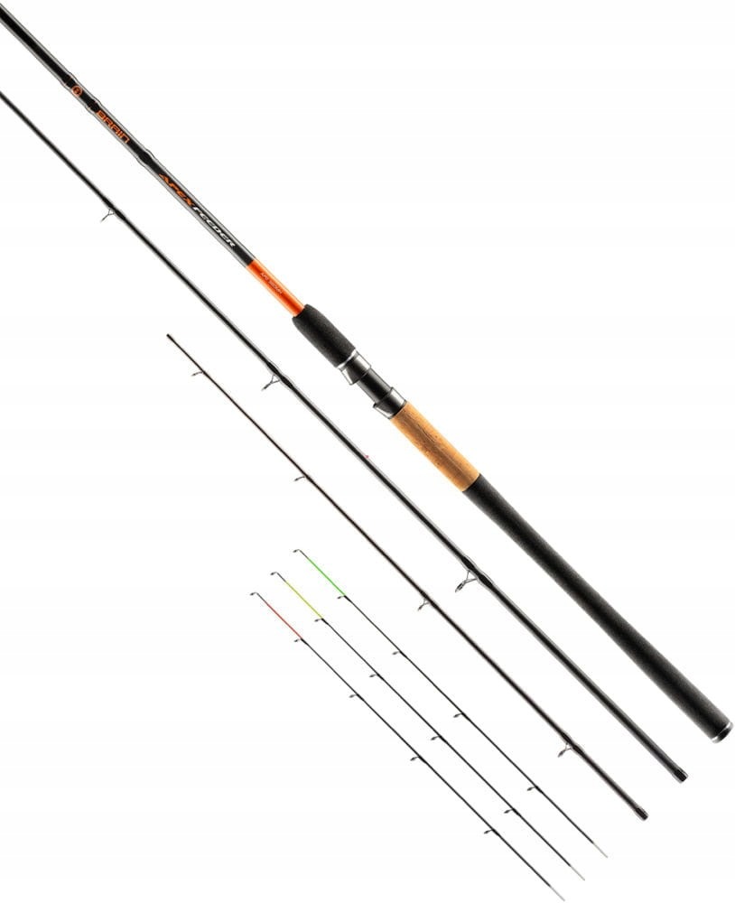 Brain Apex New 3.00m max 60g