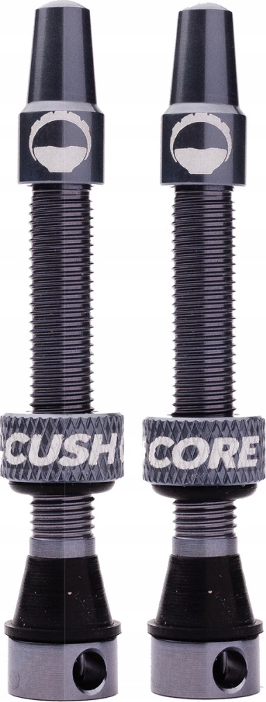 Valve Presta, 55 mm Tubeless, Titanium