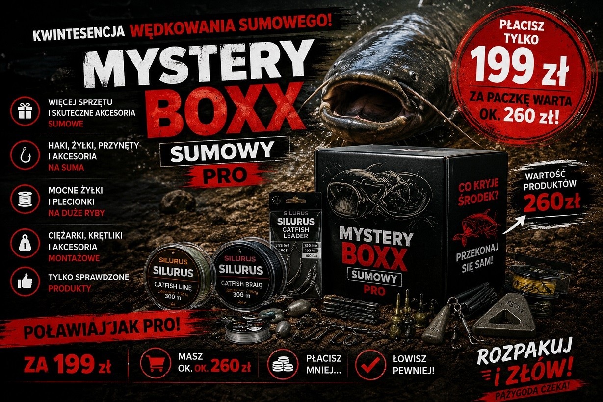 Pudełko Pro Mystery Box Sumowy Pro wielokolorowy
