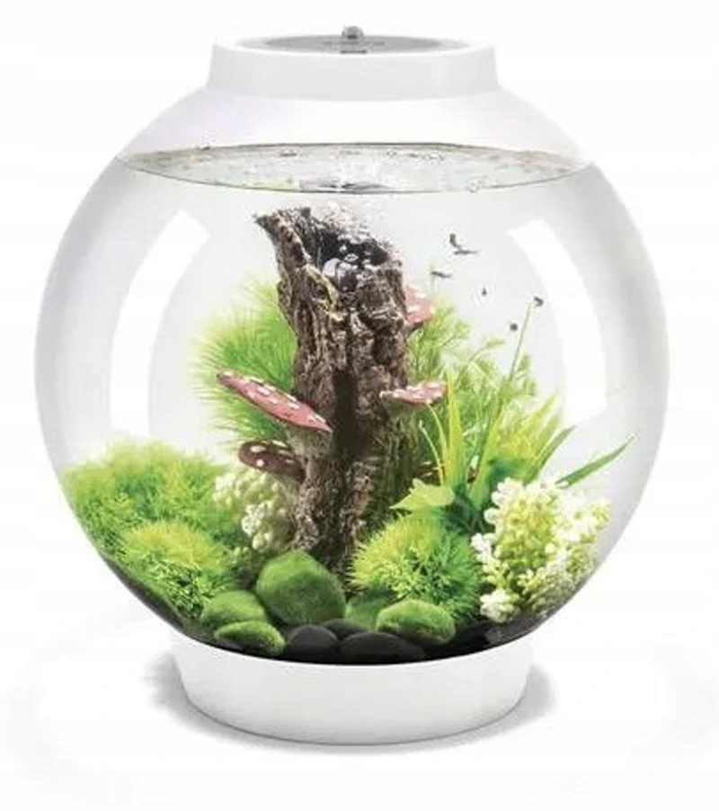 Oase biOrb Classic 30 Led bílé