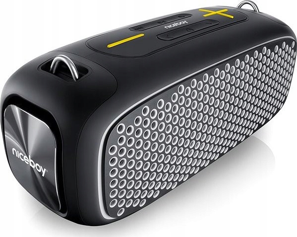 Bluetooth reproduktor Niceboy Raze Zeus, 65 W, Bt, 12 h, IPX6