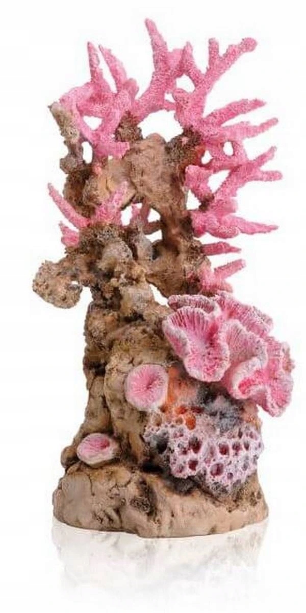Oase biOrb dekorace Korálový útes růžový