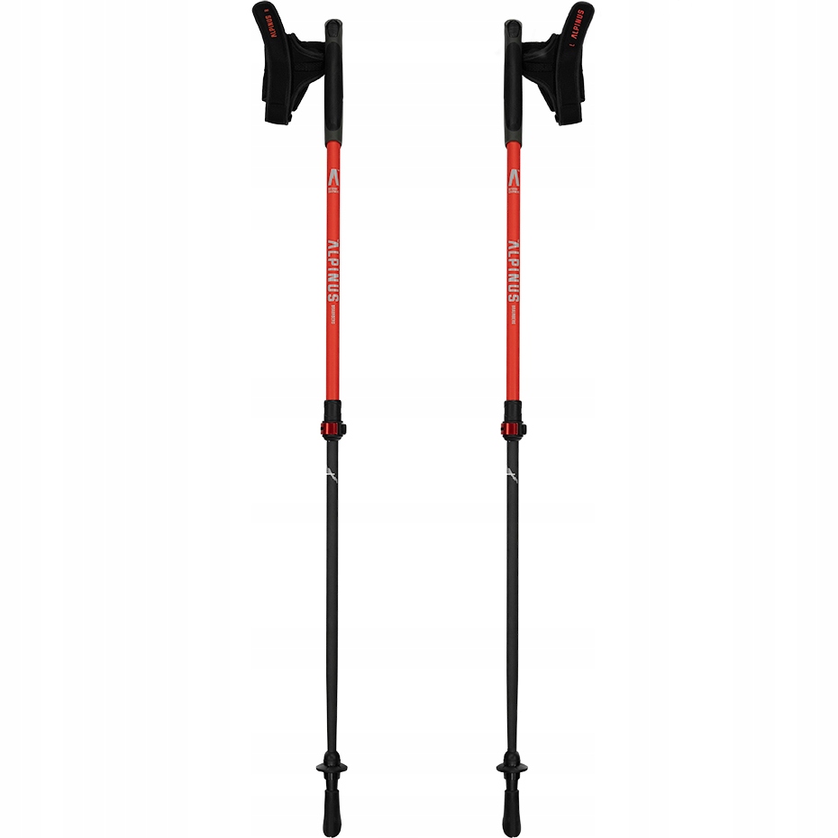 Nordic Walking hole Alpinus Braunberg pro chůzi, sportovní hole