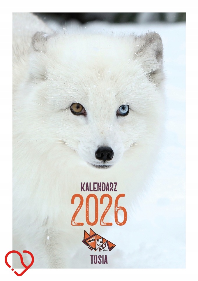 Kalendarz Lisi Azyl 2026