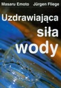 Uzdrawiająca siła wody Masaru Emoto, Jurgen Fliege